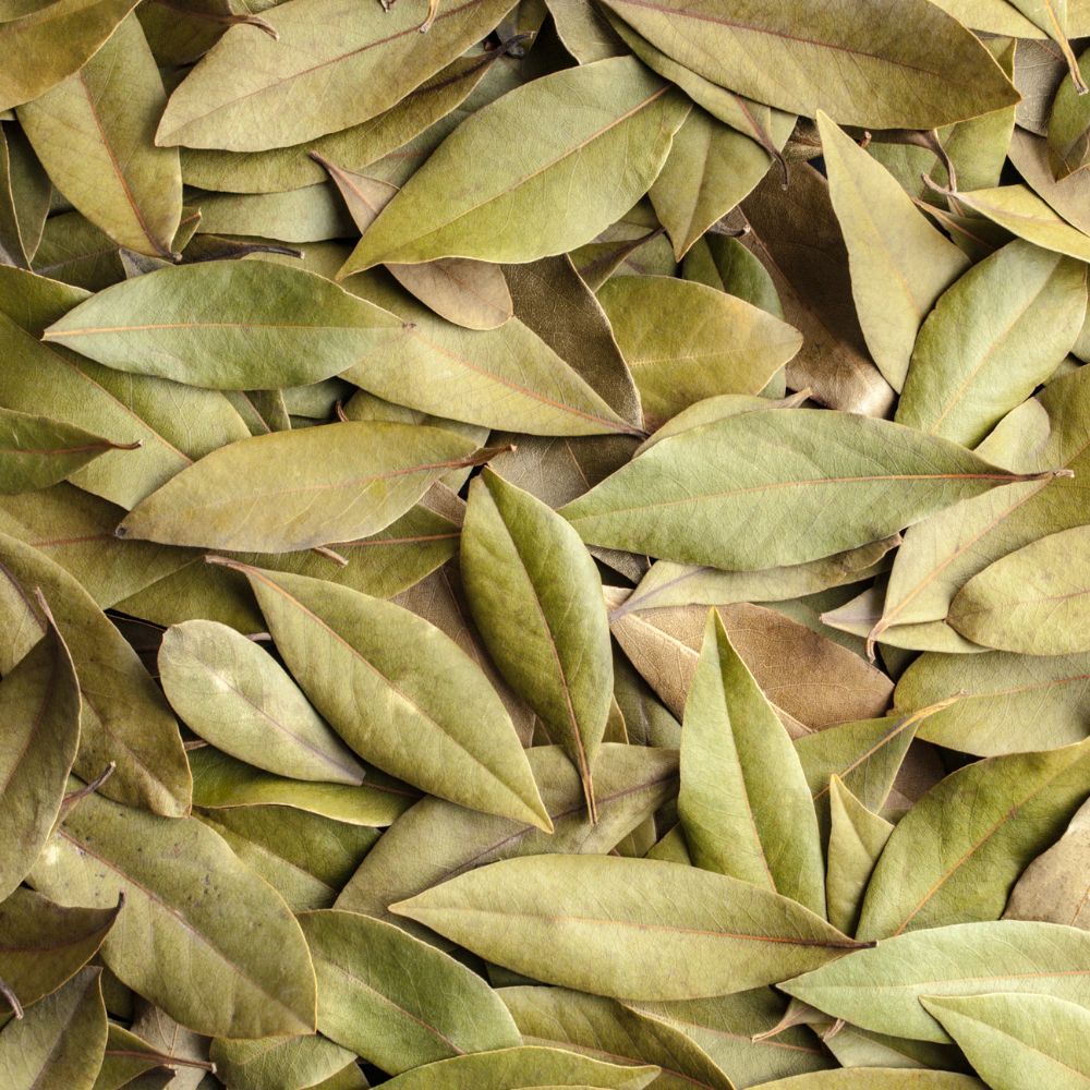 Bay leaf (Tej Patta, तेज़ पत्ता)