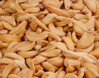 Dry Garlic (Whole)