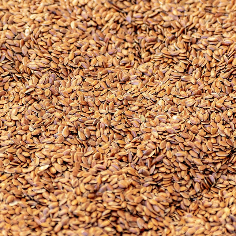 Flax seed (अलसी , Alsi)
