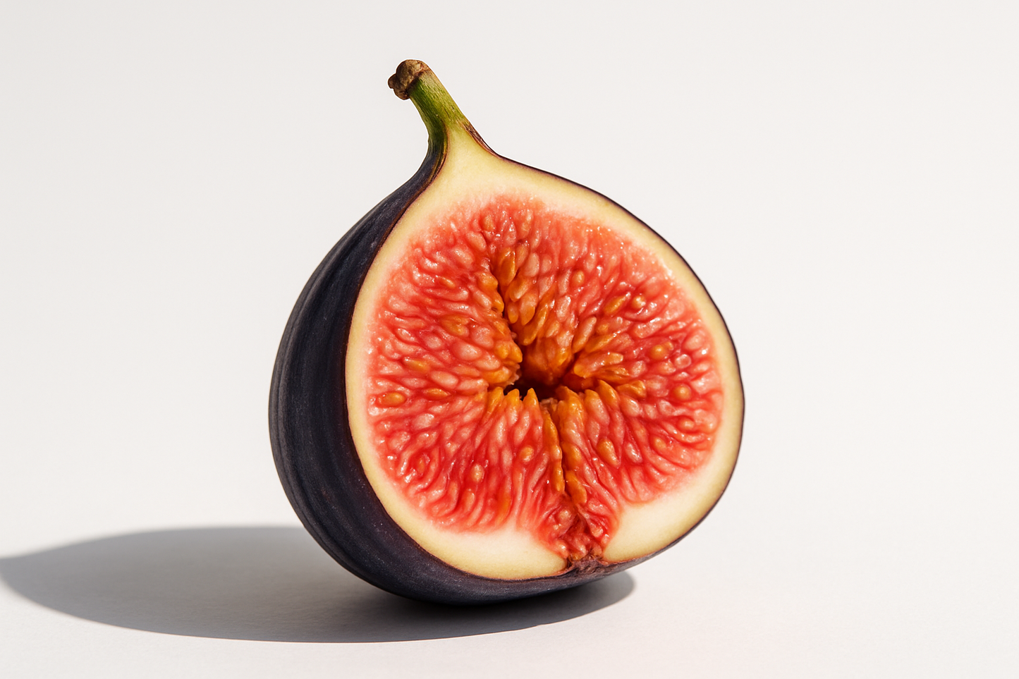 Fig