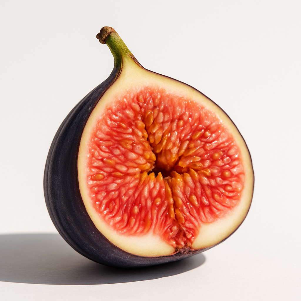 Fig