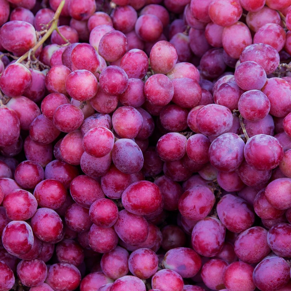 Grapes (अंगूर)
