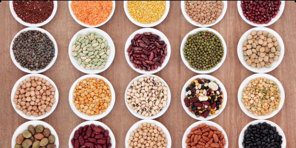 he Green Revolution: How Almighty Organics' Pulses are Saving the Planet, One Bean at a Time