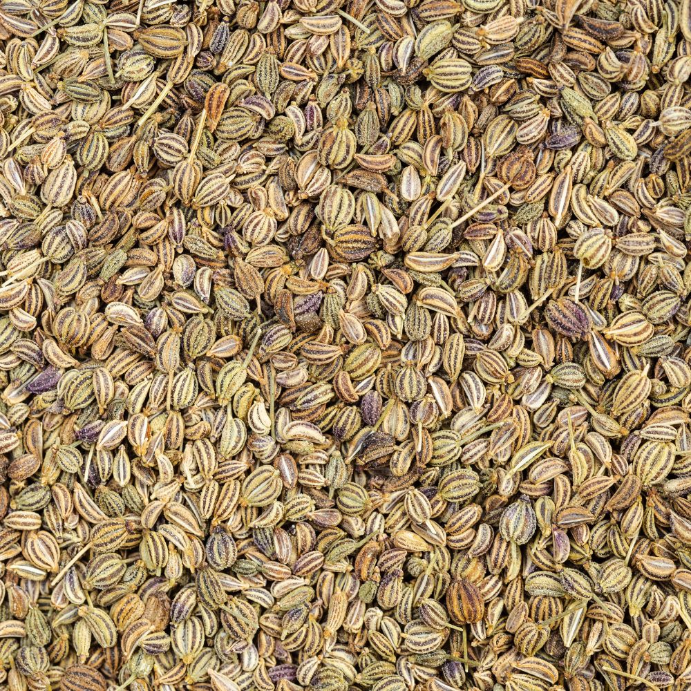 Ajwain (अजवाइन)