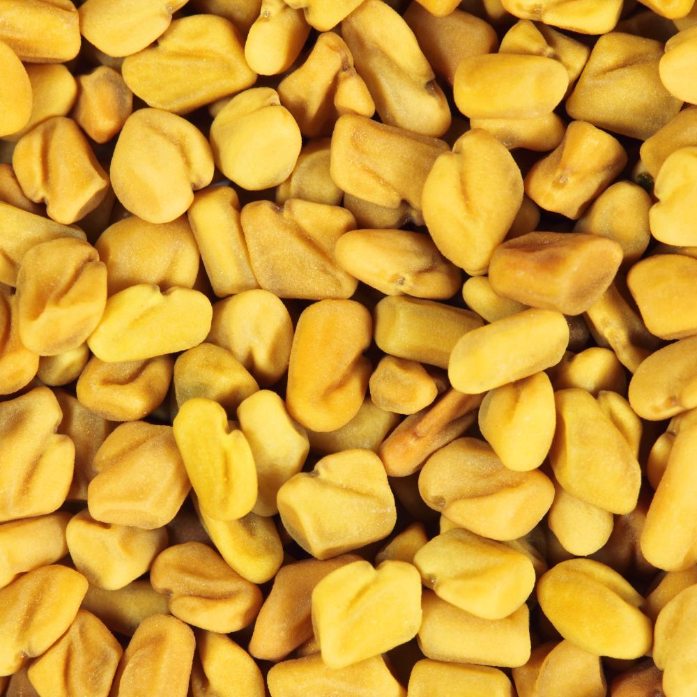 fenugreek seed