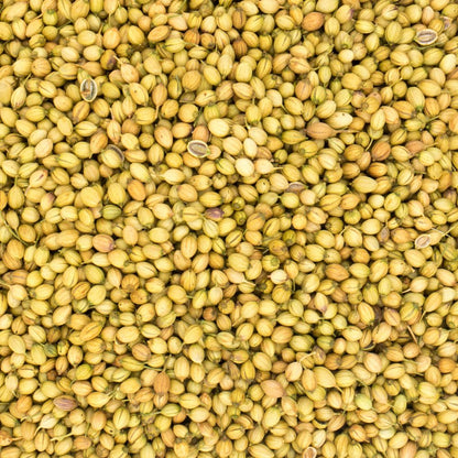 Dhaniya (धनिया)