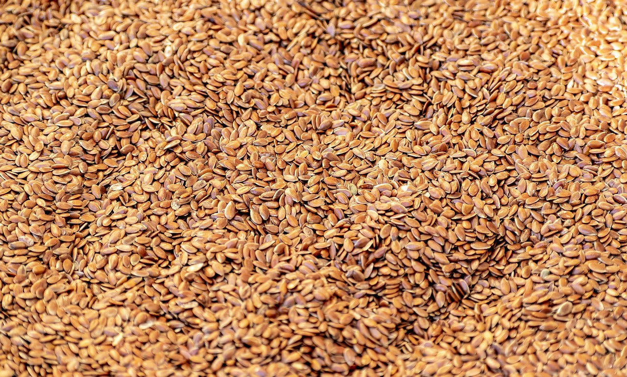 Flax seed (अलसी , Alsi)