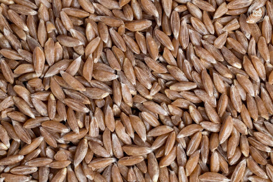 Khapali Wheat
