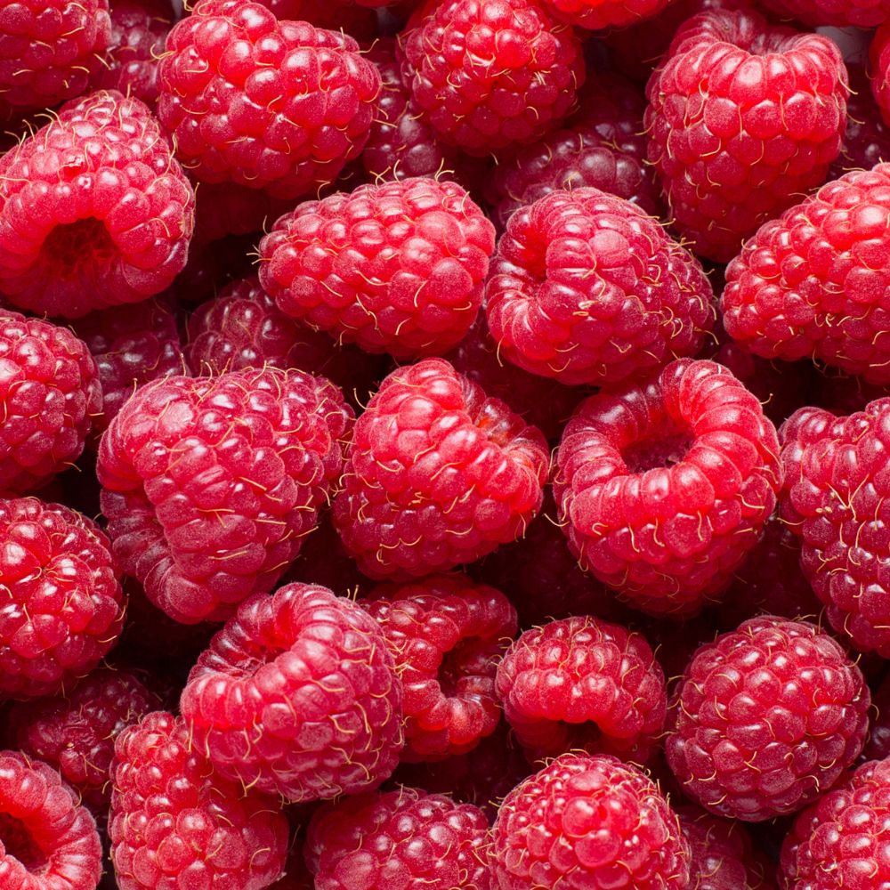 Raspberry